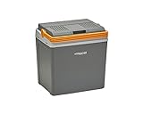 Aequator Tragbarer Kühlschrank, tragbare thermo-elektrische Kühlbox, 24 Liter, 12 V und 230 V für Auto,…